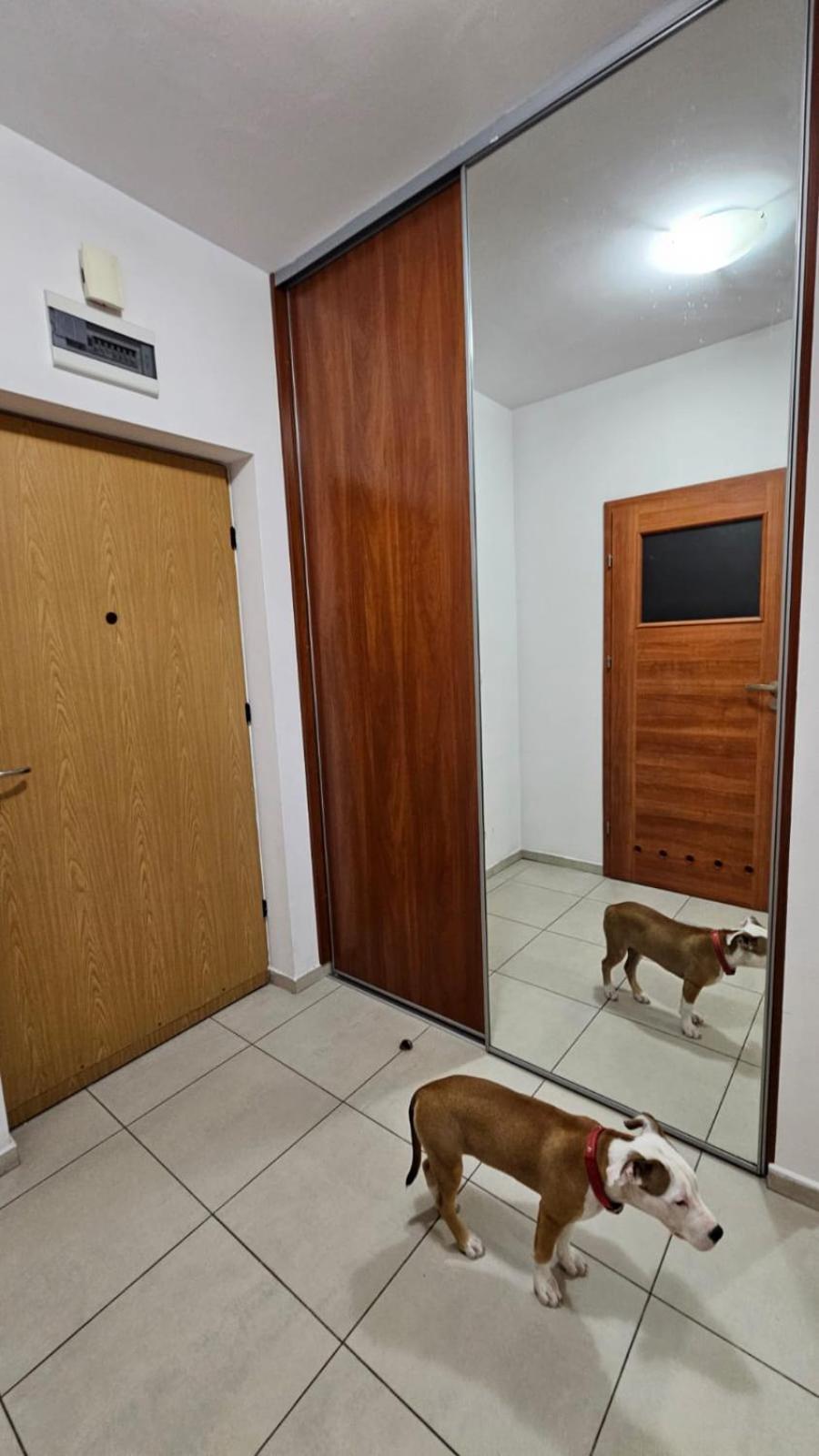 Apartament Lipinskiego Cracovia Exterior foto