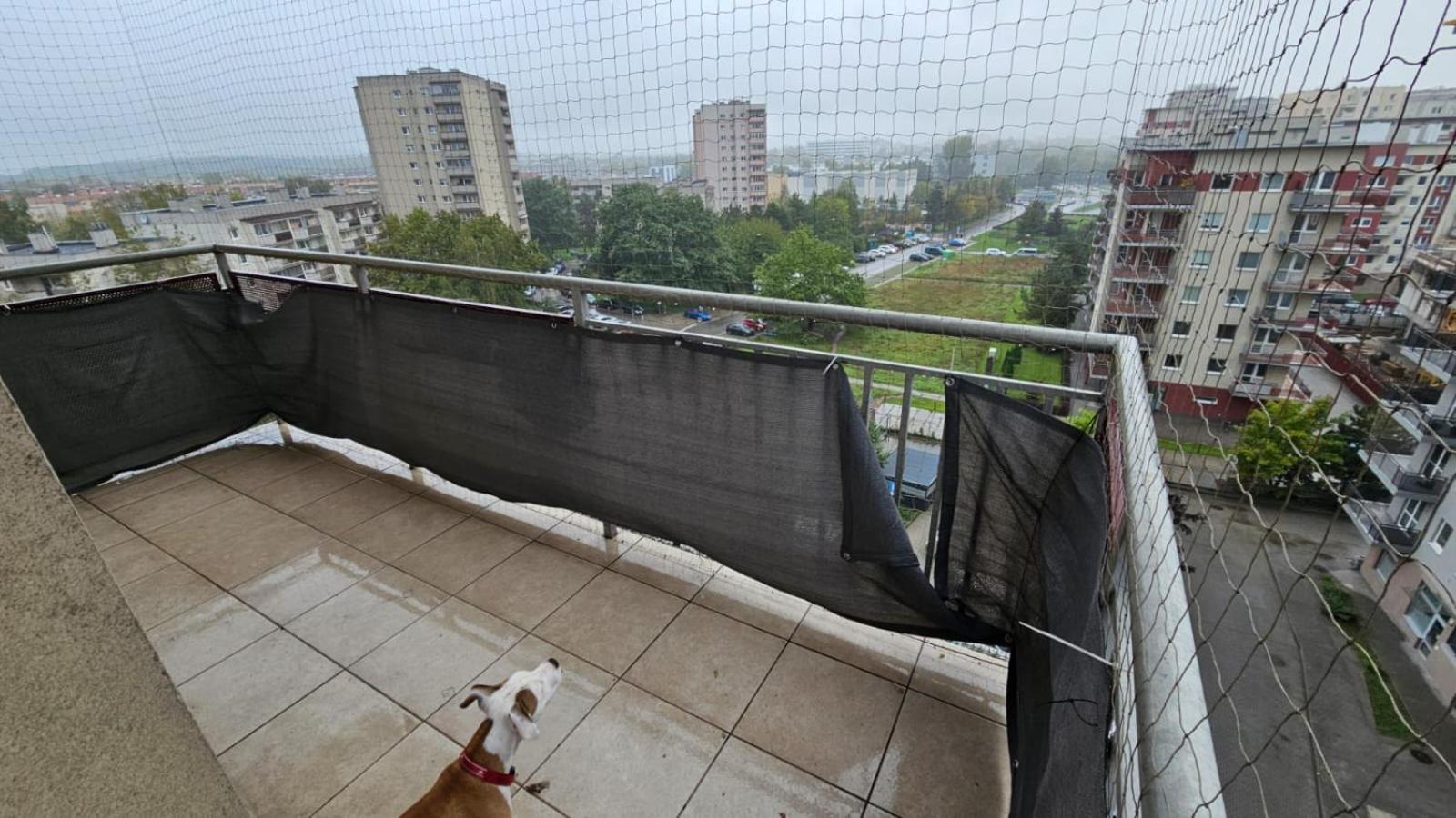 Apartament Lipinskiego Cracovia Exterior foto